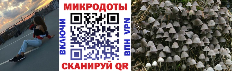 Галлюциногенные грибы мицелий наркота Обоянь
